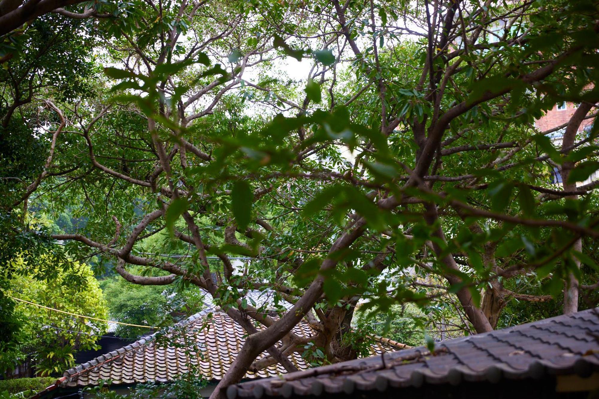 Kyokusui Hotspring Hotel Taipei Bagian luar foto